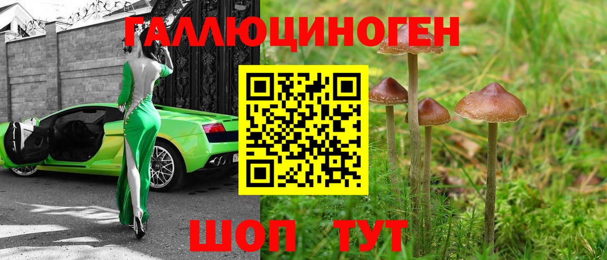 Галлюциногенные грибы Cubensis Соликамск