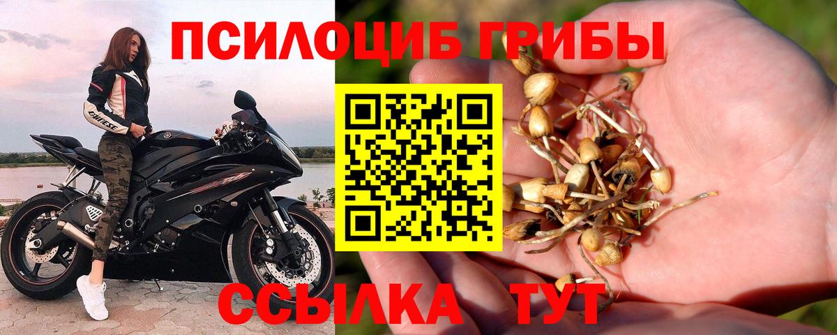 Соликамск  Галлюциногенные грибы Psilocybine cubensis  Вход с VPN 